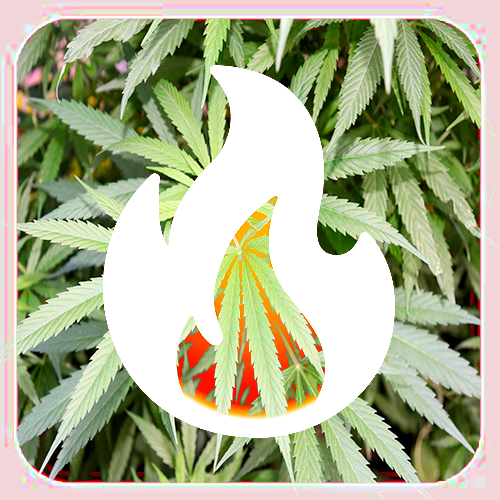 Imagen de 100 streams